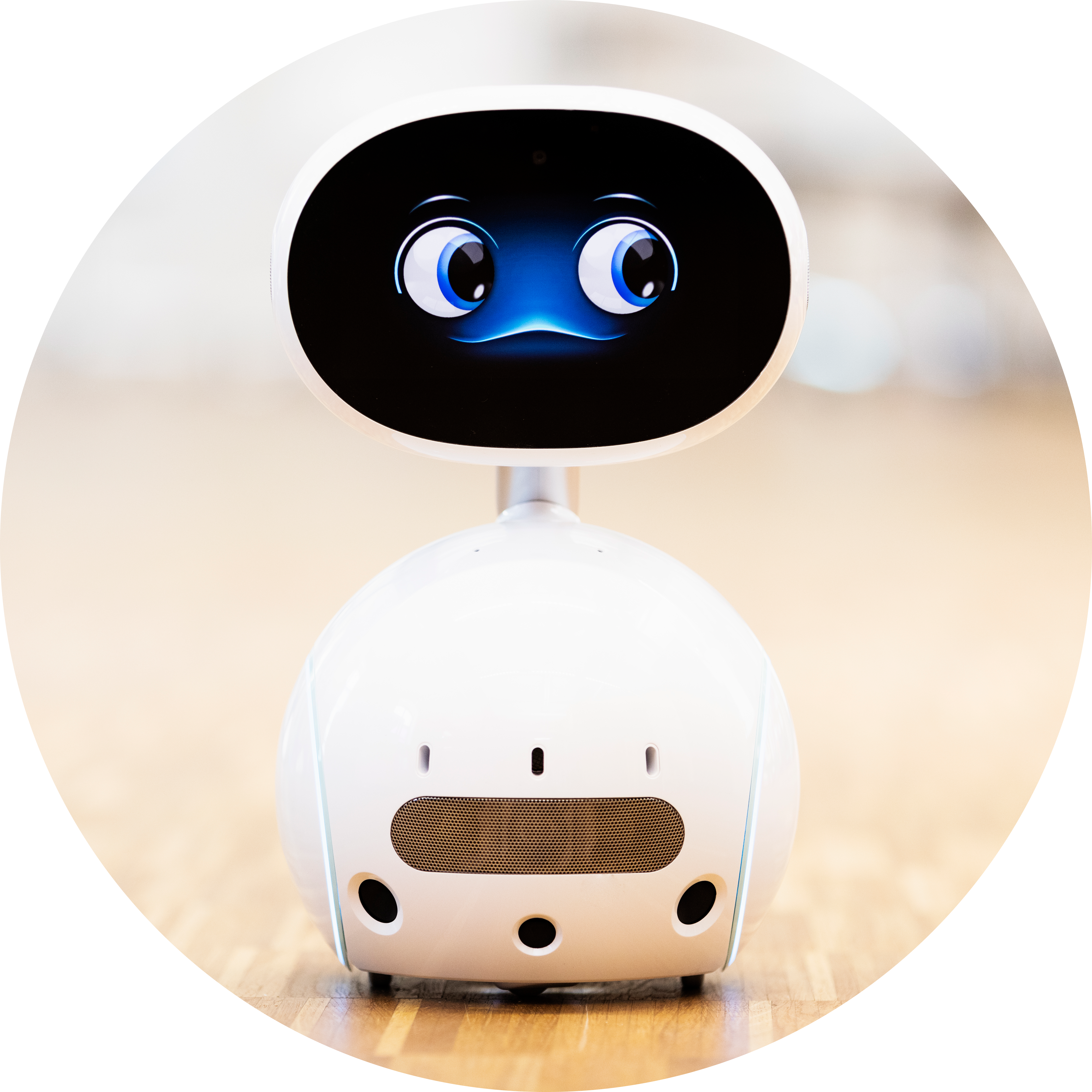 Unbenannt Zenbo Junior