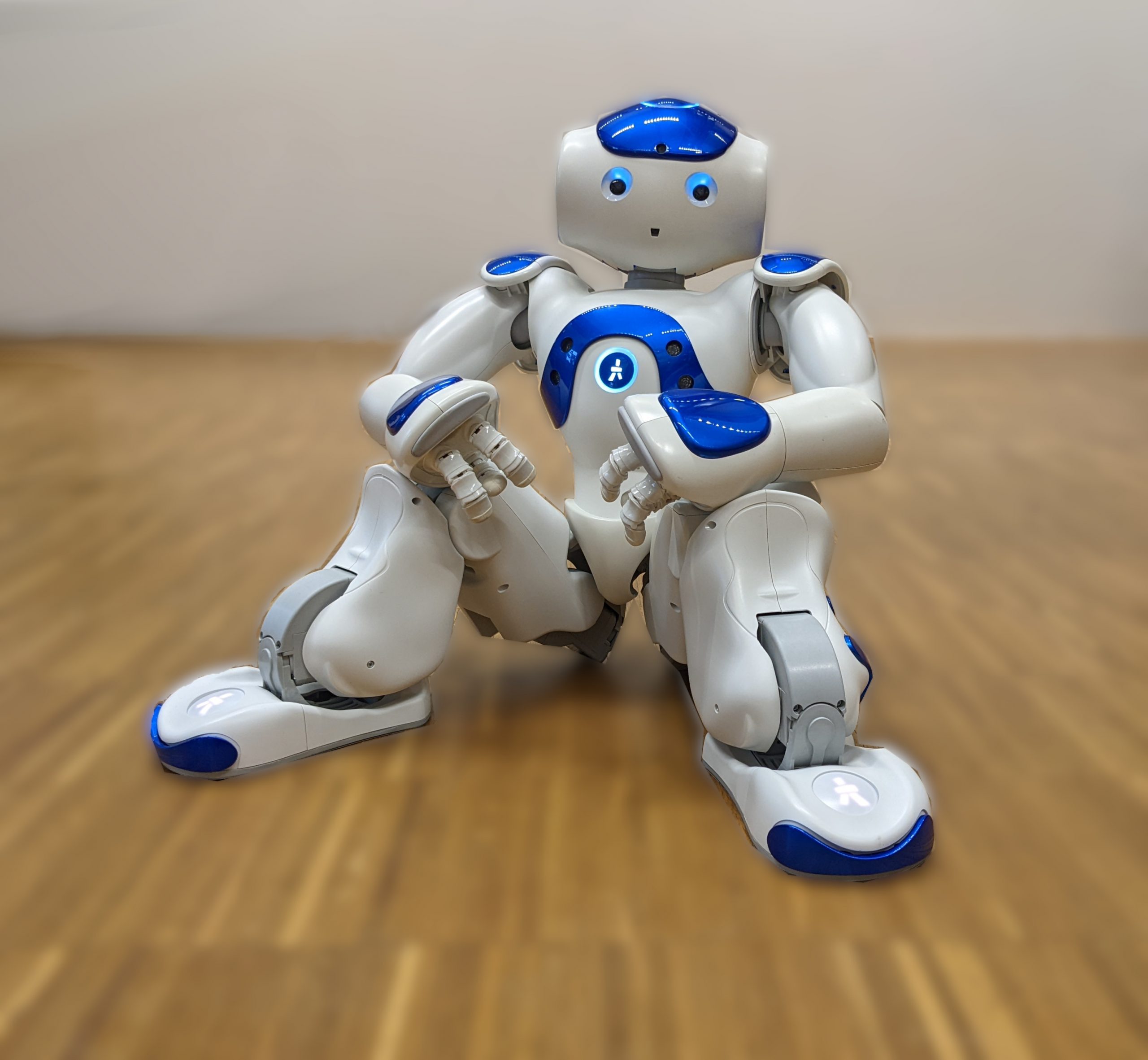 RENE – neu Nao Roboter